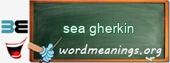 WordMeaning blackboard for sea gherkin